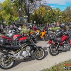 zdjęcie nr 49
