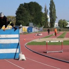 zdjęcie nr 53