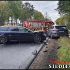 Fotka nr 2 z 20