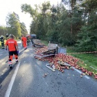 Fotka nr 1 z 2