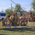 zdjęcie nr 22