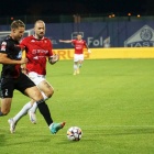 zdjęcie nr 17