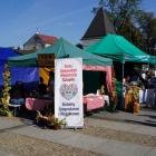 zdjęcie nr 12