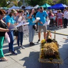 zdjęcie nr 22