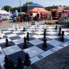 zdjęcie nr 83