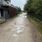 Fotka nr 2 z 4