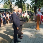 zdjęcie nr 19