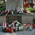 zdjęcie nr 41