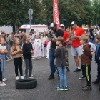 zdjęcie nr 7