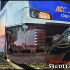 zdjęcie nr 18