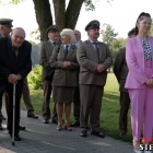 zdjęcie nr 19