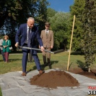 zdjęcie nr 28