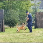 zdjęcie nr 13