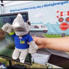 zdjęcie nr 31