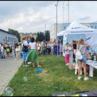 zdjęcie nr 39