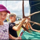zdjęcie nr 45