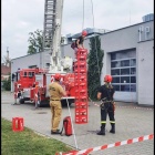 Fotka nr 4 z 53