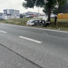 Fotka nr 5 z 7