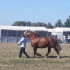 zdjęcie nr 12