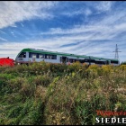 zdjęcie nr 31