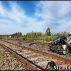 Fotka nr 4 z 39