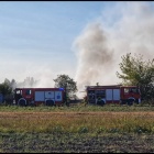 zdjęcie nr 13