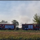 zdjęcie nr 14