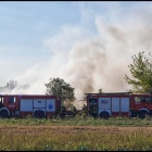 Fotka nr 3 z 14