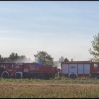 zdjęcie nr 8