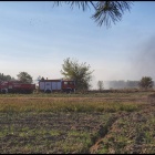 zdjęcie nr 10