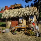 zdjęcie nr 106