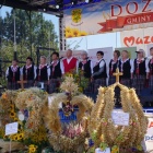 zdjęcie nr 73