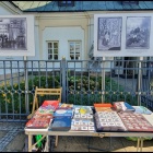 zdjęcie nr 19