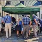 zdjęcie nr 8