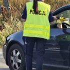 Fotka nr 0 z 3
