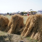 zdjęcie nr 98