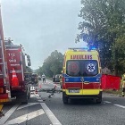 Fotka nr 5 z 8