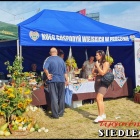 zdjęcie nr 19