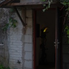 zdjęcie nr 92
