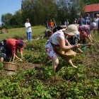 zdjęcie nr 19