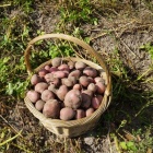 zdjęcie nr 31