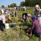zdjęcie nr 32