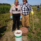 zdjęcie nr 37