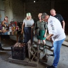 zdjęcie nr 43