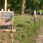 zdjęcie nr 11