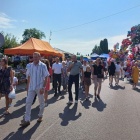 zdjęcie nr 9