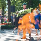 zdjęcie nr 71