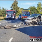 zdjęcie nr 15