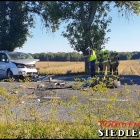 zdjęcie nr 25