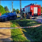Fotka nr 2 z 4